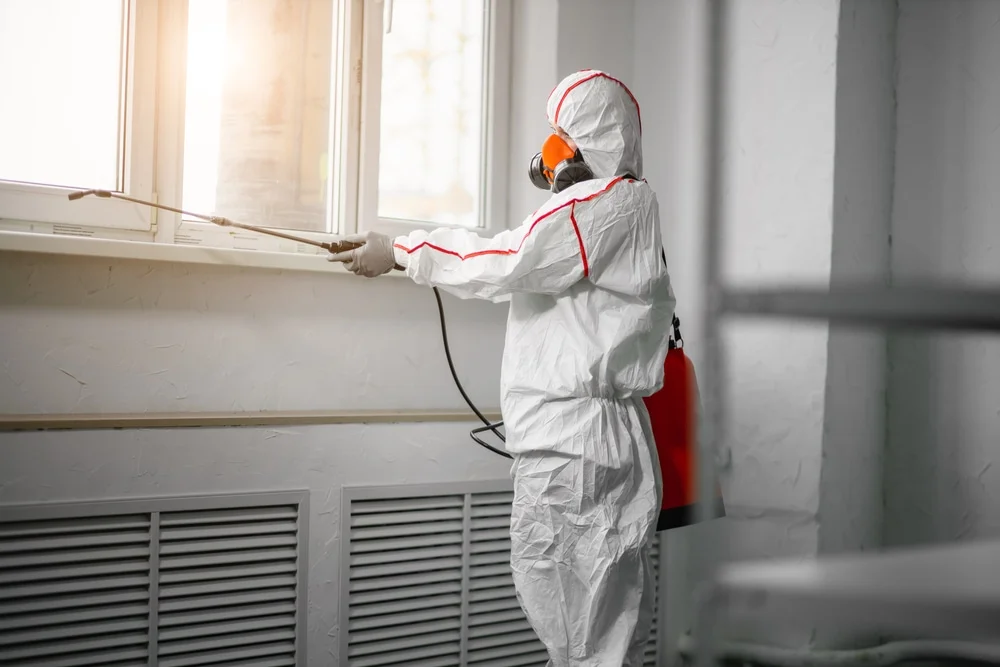 Professional mold remediation services in Dundas, MN